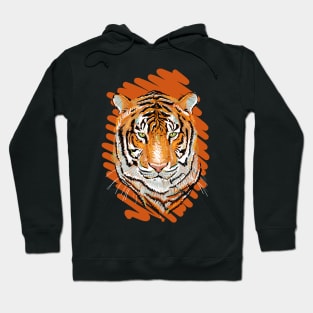Freehand drawing of a tiger vector colorful illustration. Year of the tiger. Hoodie